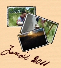 Zamo�� 2011